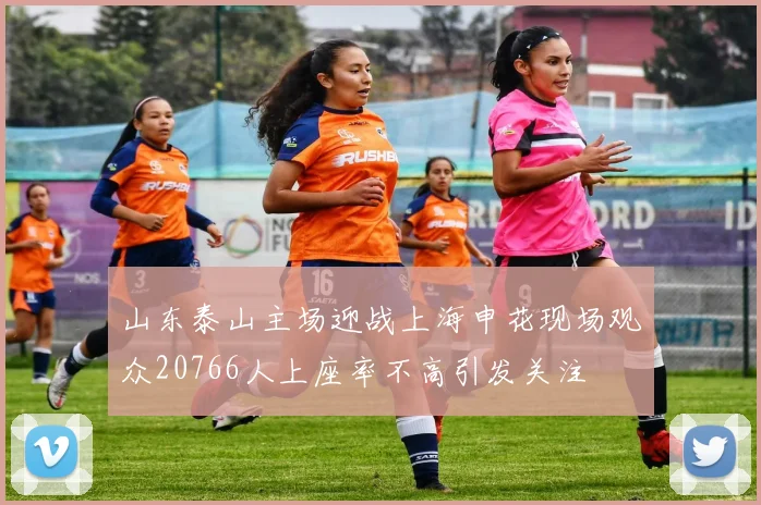 山东泰山主场迎战上海申花现场观众20766人上座率不高引发关注
